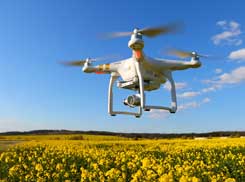 drone flying over field of yellow flowers