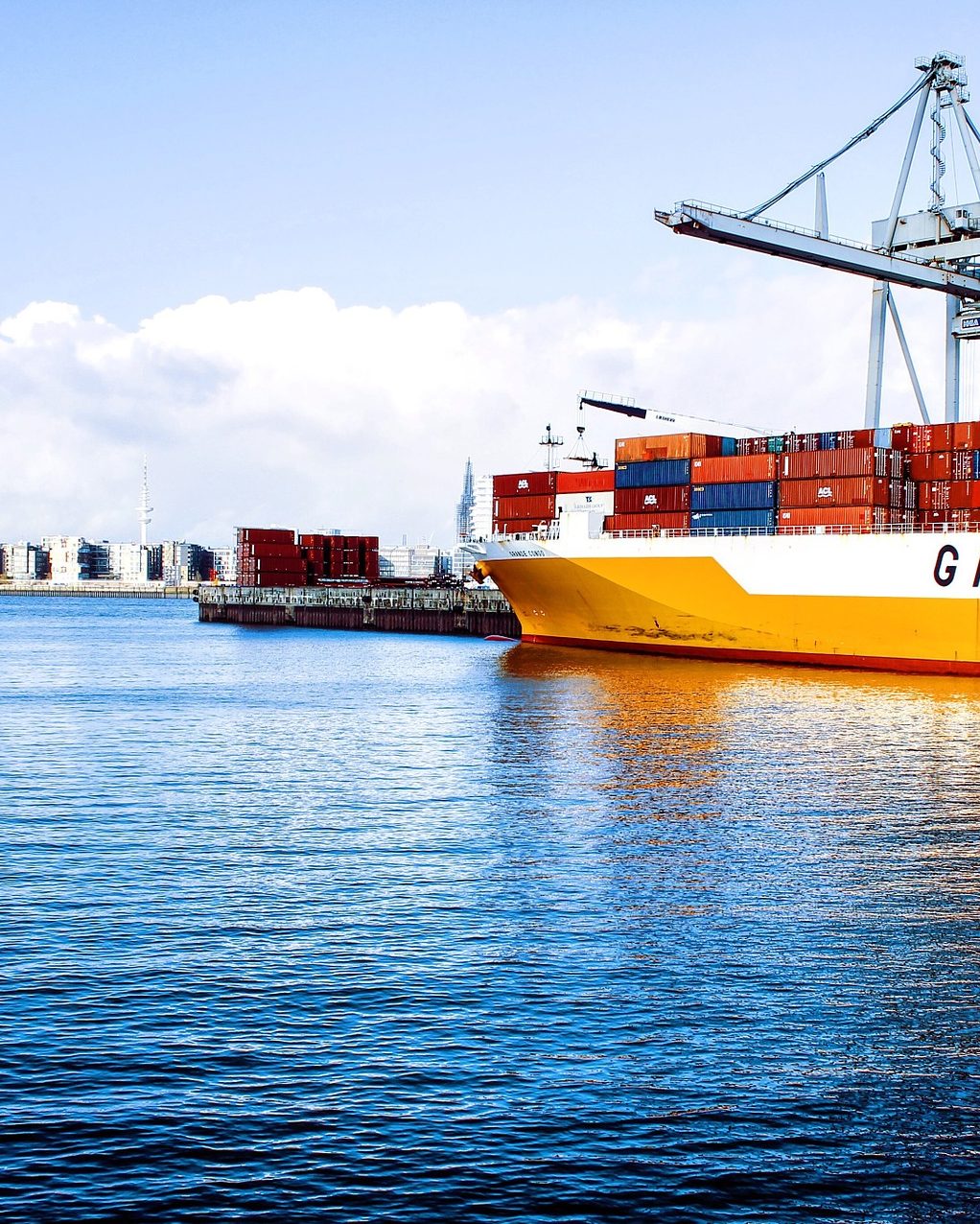 ships with shipping containers docked at a port