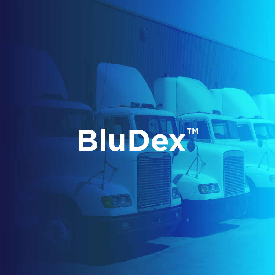 BluDex Data Sheet 1 BluDex