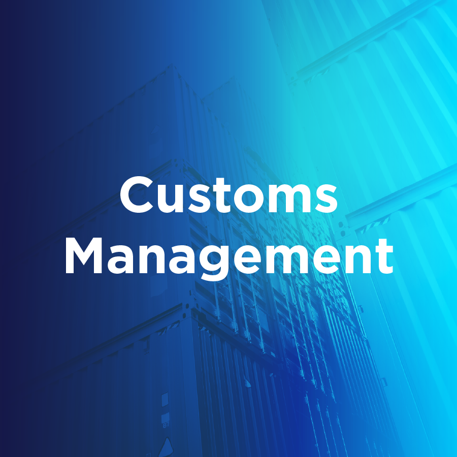 Customs Management | BluJay Solutions Ltd.