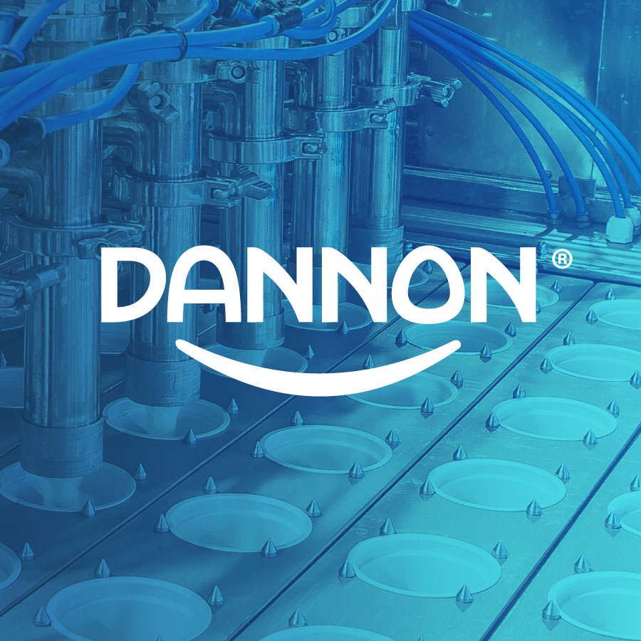 Dannon 1 Dannon logo